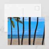 Line of Beach Palms - Hawaii - Postkarte (Vorne/Hinten)