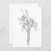 Line Sketch Daffodils Bouquet. Ankündigung (Vorne/Hinten)
