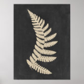 Linen Fern Poster (Vorne)