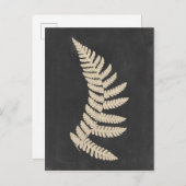 Linen Fern Postkarte (Vorne/Hinten)