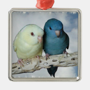 Lineolated Parakeetpaare Ornament Aus Metall
