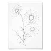 Lines & Petals Fotodruck (Vorne)