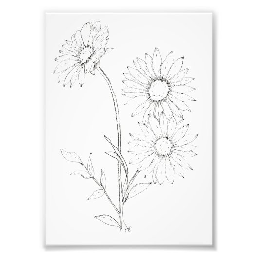 Lines & Petals Fotodruck (Vorne)