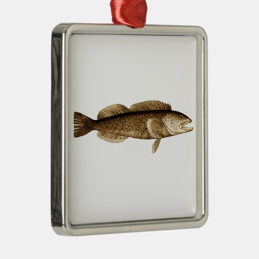 Lingcod-Logo Silbernes Ornament (Rechts)