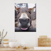 Linha Animal - Arre burriquito Poster (Küche)