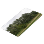Linie der Leaning Bäume Landschaft Premium Magnet (Linke Seite)