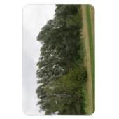 Linie der Leaning Bäume Landschaft Premium Magnet (Vertikal)