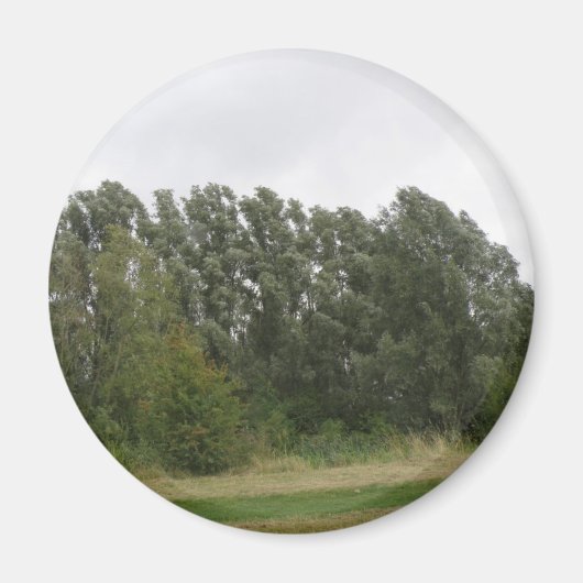 Linie der schiefen Bäume Landschaft Magnet (Vorne)