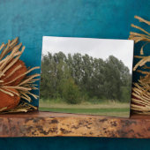 Linie der Trees Landscape Plaque Fotoplatte (Seite)