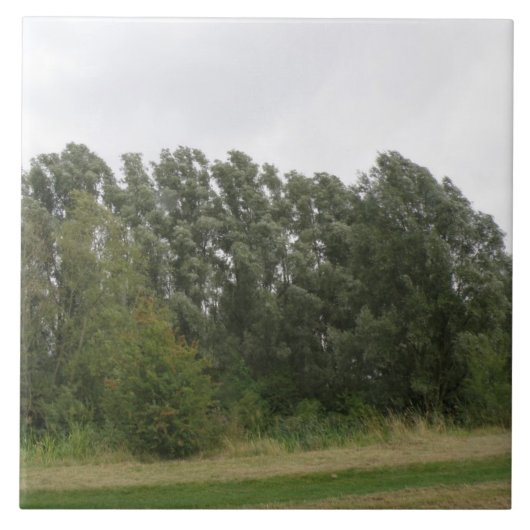 Linie der Trees Landschaftszug Tile Fliese (Vorderseite)