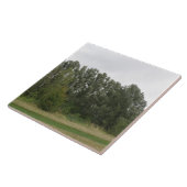 Linie der Trees Landschaftszug Tile Fliese (Seite)