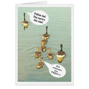 LINIE VON GEESE/FOLGE MIR! DAS PARTY IST SO!