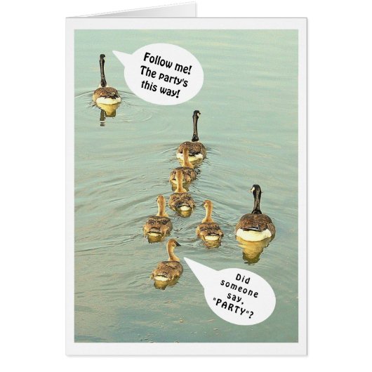 LINIE VON GEESE/FOLGE MIR! DAS PARTY IST SO! (Vorne)