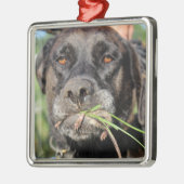 Link u. die Wühlmaus-Verzierung Silbernes Ornament (Links)