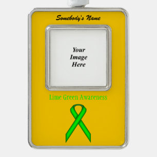 Linke Green Standard Ribbon Tmpl (V-O) von K Yonci Rahmen-Ornament Silber