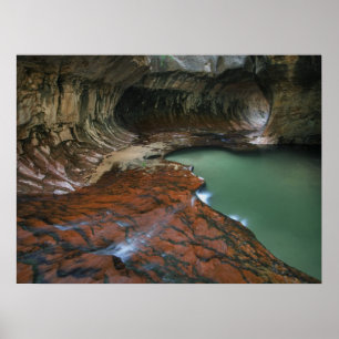 Linker Arm Zion-Nationalpark, Utah Poster