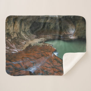 Linker Arm   Zion-Nationalpark, Utah Sherpadecke