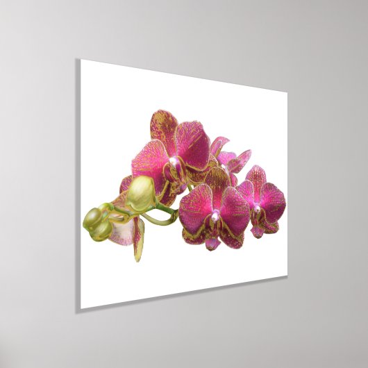 Links Foil Akzente auf Roten Orchideen Print Poste Foliendrucke (Ablage )