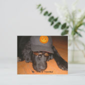 Links hinter diesem Halloween Postkarte (Stehend Vorderseite)