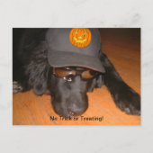 Links hinter diesem Halloween Postkarte (Vorderseite)