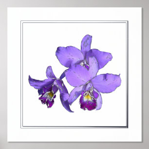 Links Lila Orchid Group Print Poster