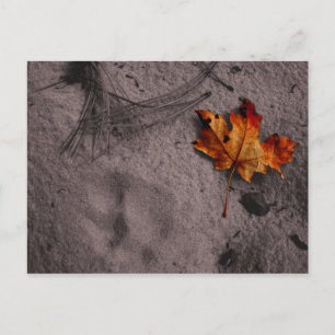 Links neben der Footprint Postkarte