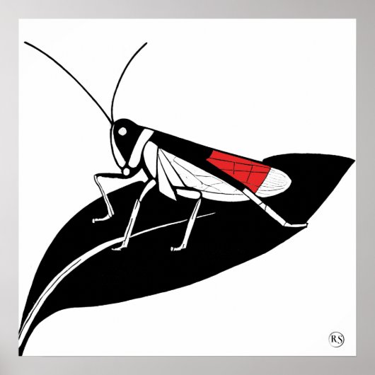 Links suchen - Archivierung Kunst, Kultur und Kuns Poster (Vorne)