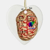 Links und rechte Seite des Gehirns Keramik Ornament (Rechts)