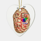 Links und rechte Seite des Gehirns Keramik Ornament (Links)