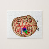 Links und rechte Seite des Gehirns Puzzle (Horizontal)