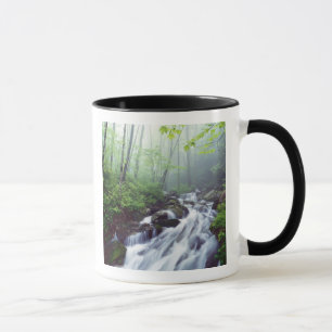 Linn Cove Creek kaskadiert durch neblige Tasse