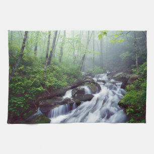 Linn Cove Creek kaskadiert durch nebligen Geschirrtuch