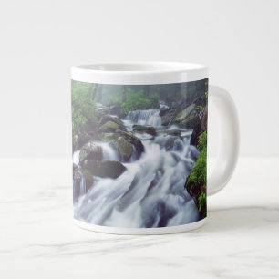 Linn Cove Creek kaskadiert durch nebligen Jumbo-Tasse