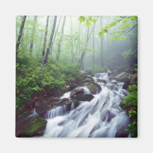 Linn Cove Creek kaskadiert durch nebligen Magnet