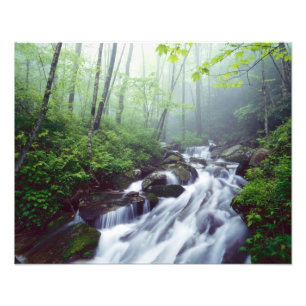 Linn Cove Creek Kaskadierung durch Nebel Fotodruck
