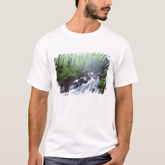Linn Cove Creek Kaskadierung durch Nebel T-Shirt (Vorderseite)