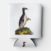 Linnaeus Birds - Großer Auk - Aussterben