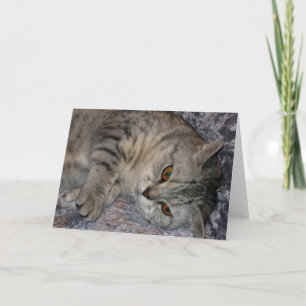 Linnea Cat quote card Feiertagskarte