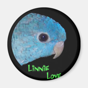 Linnie Liebe Magnet