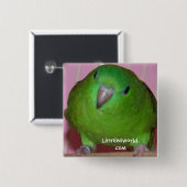 Linnie Parakeet-Knopf Button (Vorne & Hinten)