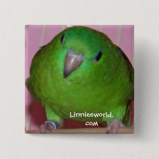 Linnie Parakeet-Knopf Button (Vorderseite)