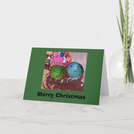 linnies2_sm, Frohe Weihnachten (Vorderseite)