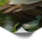 Linny & Lane Baby Fairies Poster (Ecke)