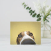 Linsenreiniger Postkarte (Stehend Vorderseite)