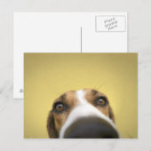 Linsenreiniger Postkarte (Vorne/Hinten)