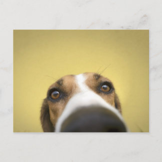 Linsenreiniger Postkarte