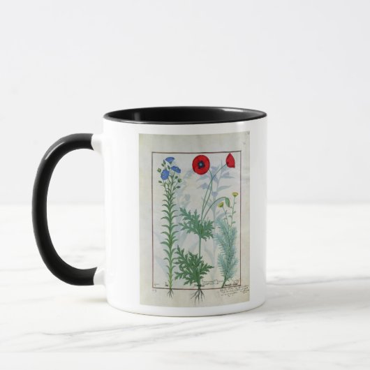 Linum, Klatschmohn und Abrotanum Tasse (Links)