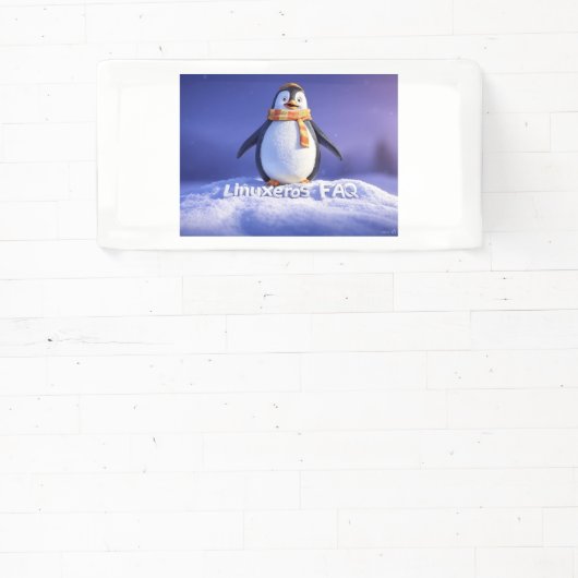 Linuxeros FAQ Banner (InSitu)