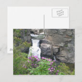 Linville Falls, North Carolina Postkarte (Vorne/Hinten)