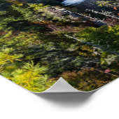 Linville Falls Poster (Ecke)